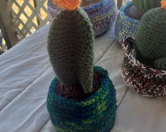 Crocheted Cactus in Green Crocheted Basket