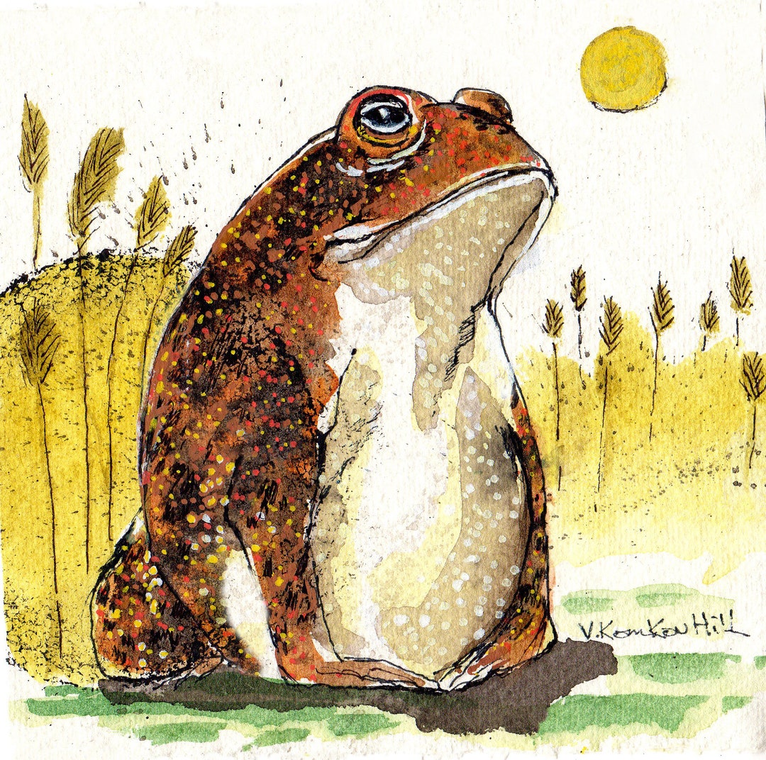 Toad Greeting Card - Etsy