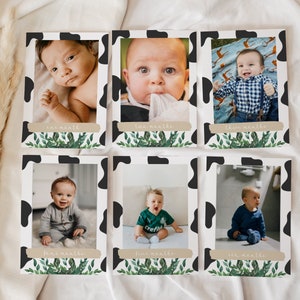 LEVI Cow First Year Photo Banner Template, Holy Cow I'm One, Birthday, 12 Months Photo Banner, Baby's 1st Birthday Banner, Farm Birthday DIY