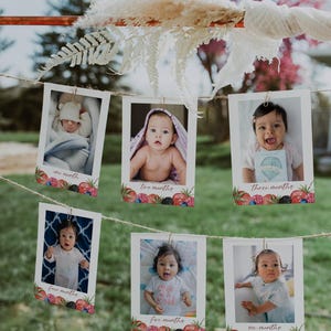 Berry First Photo Banner Template, Berry 1st Birthday, 12 Months Photo Banner, Baby's 1st Birthday, Strawberry Birthday Decor, Girl Birthday
