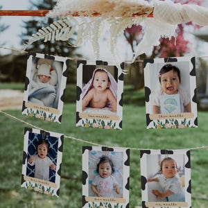 DIXIE Cow First Year Photo Banner Template, Holy Cow I&#39;m One! Birthday, 12 Months Photo Banner, Baby&#39;s 1st Birthday Banner, Farm Birthday