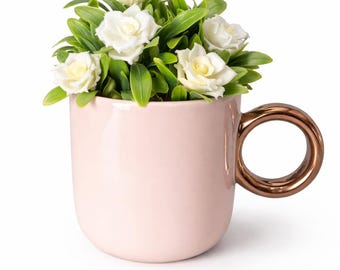 Kunstplant in koffiemok - bureaudecoratiecadeau, mok kunstplant, geen water, kantoordecoratie, cadeau koffieliefhebber