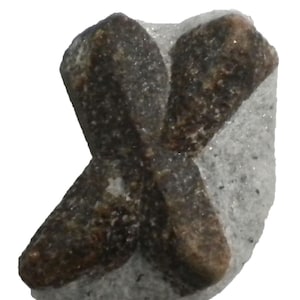 Staurolite - 10 gram -1.25 x 3/4&quot; Mineral Display Specimen- X Mark - STR029
