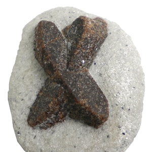 Staurolite - 21 gram -1.5 x 1.25&quot; Mineral Display Specimen- X Mark - STR026