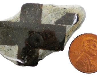 Staurolite - 23 gram -1.75 x 1&quot; Mineral Display Specimen-Polished Cross - STR041