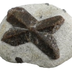 Staurolite - 25 gram -1.5 x 1.25&quot; Mineral Display Specimen- X Mark - STR022