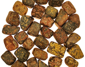 Piel de leopardo Jaspe - Tumbled - Piezas de 1/2 a 1 pulgada - Lote a granel - libra Libra