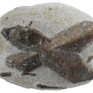 Staurolite - 276 gram -3.75 x 2.5 x 1.25&quot; Mineral Display Specimen - STR2311