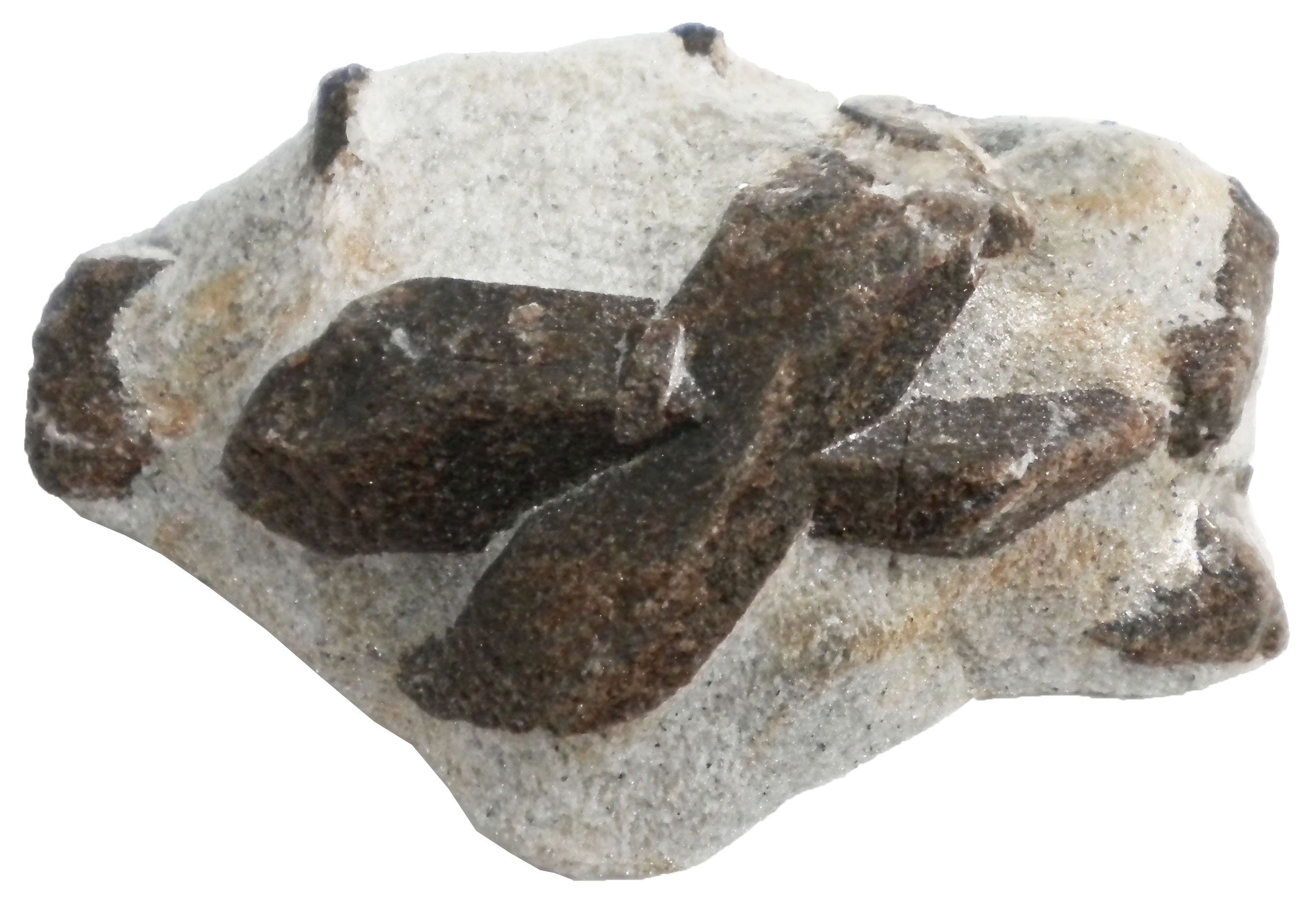 Staurolite - 231 gram - 4 x 3 x 1" Mineral Display Specimen- X Mark - STR064
