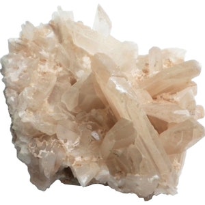 Selenite - Crystal Cluster Display Specimen - 1588 grams - SEL015