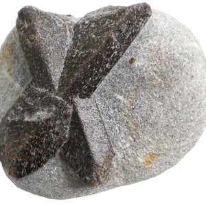 Staurolite - 298 gram - 3 x 2.75&quot; Mineral Display Specimen- X Mark - STR061