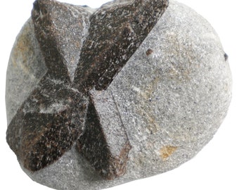 Staurolite - 298 gram - 3 x 2.75&quot; Mineral Display Specimen- X Mark - STR061
