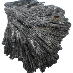 Black Kyanite Blade -Fan Display Specimen -81 grams- 2.5 x 2.75 x 1&quot; -KYA026