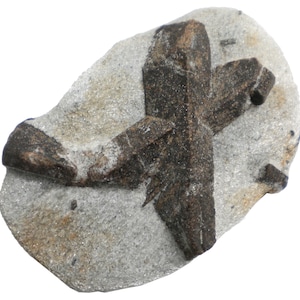 Staurolite - 199 gram - 3.5 x 2.5&quot; Mineral Display Specimen- X Mark - STR063
