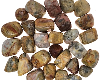 Crazy Lace Agate Tumbles - Piezas de 1/2 a 1 pulgada - Lote a granel - Lote de 1 libra