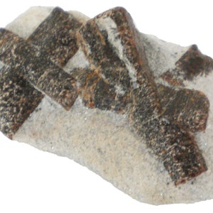 Staurolite - 35 gram -2 x1&quot; Mineral Display - Cross + X Multi Specimen- STR2401