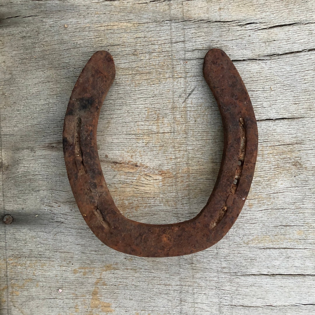 Horse Shoe Keychain – The Rusty Garden