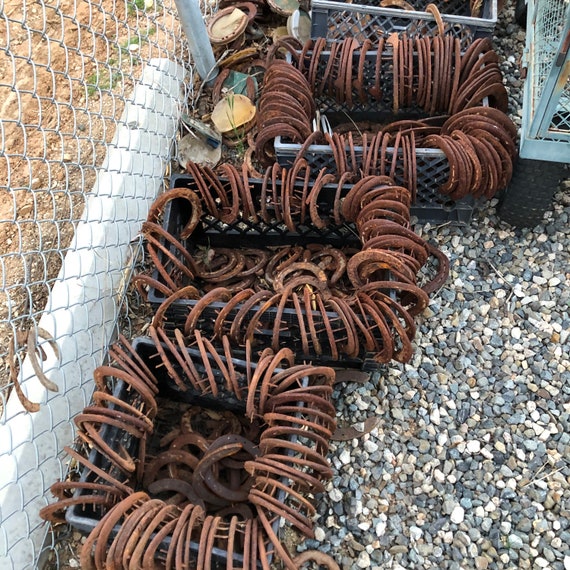776410_5 776410_5