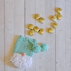 Holiday Gnome Treat Bag Crochet Pattern image 6