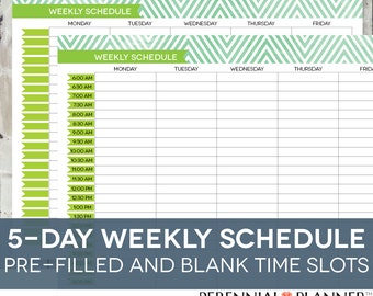daily schedule hourly printable editable planner for moms etsy