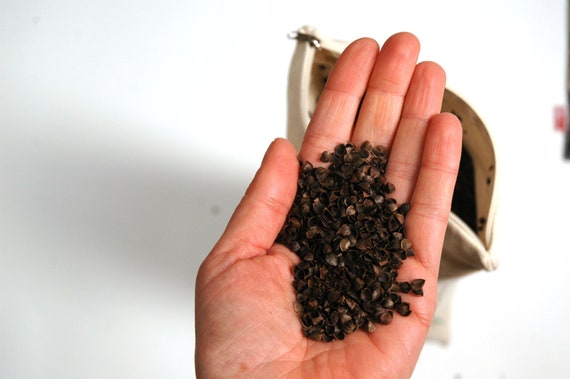 small buckwheat pillow