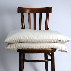 Standart size white cotton Buckwheat pillow Buckwheat neck pillow 16&#39;x24&#39;/40x60cm with linen pillowcase