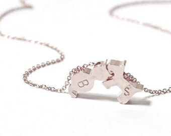 Collana personalizzata per cani e gatti, due gioielli iniziali per animali domestici in oro rosa. Iniziali di cani e gatti, collana di cuccioli e gattini, ciondoli per cani gatti, regalo per gli amanti degli animali