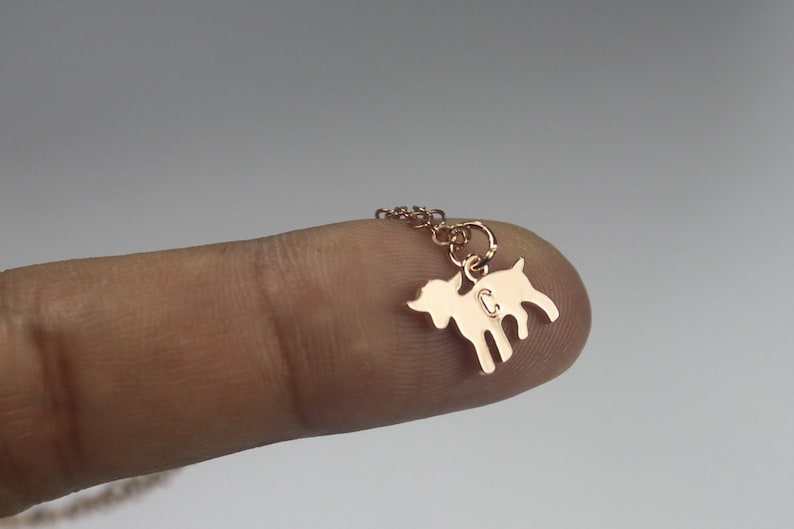 Initial goat necklace, Personalized Pet Goat Jewelry .Farm animal necklace Capra necklace .Horned animal pendant. Silver or gold goat charm image 5