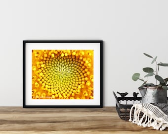 Sunflower - Macro, Digital Photography, Wall Art & Minimalist Home Décor Print