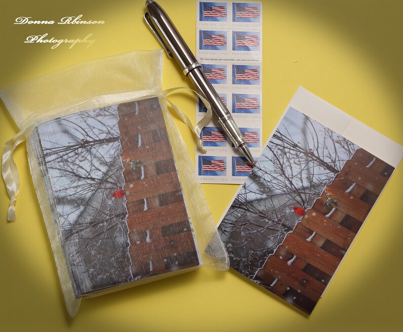 Snowy Cardinal 3 12\u201d x 5\u201d Greeting Card Pack and 5\u201d x 7\u201d Matted Print Bundle