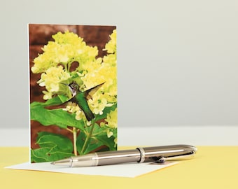 Hummingbirds and Limelight Hydrangeas, 3 1/2" x 5" Blank, Folded Note Card Pack