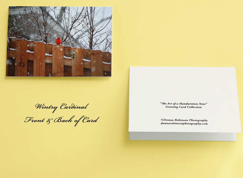 Snowy Cardinal 3 12\u201d x 5\u201d Greeting Card Pack and 5\u201d x 7\u201d Matted Print Bundle