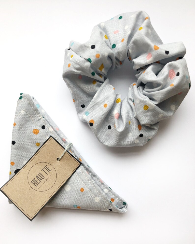 dog bandana and scrunchie set