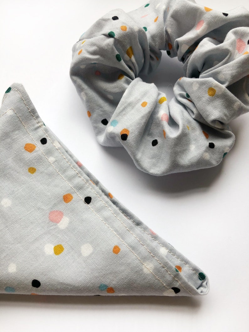 dog bandana and scrunchie set