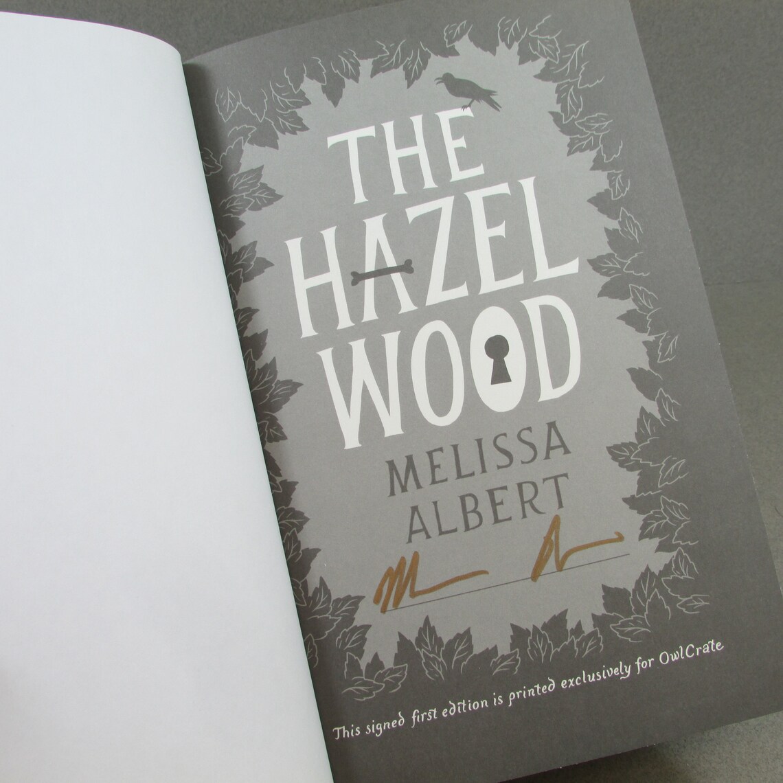 the hazel wood chapter sampler melissa albert the hazel wood chapter sampler melissa albert