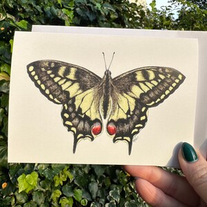 Carte de voeux papillon machaon A6 design original impression peinture aquarelle insectes de la faune