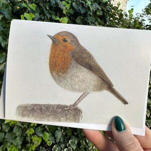 Cartão de felicitações Robin Natal A6 design original pintura em aquarela de pássaros selvagens britânicos impressão