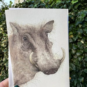 Carte de voeux phacochère A6 design original aquarelle savane animalière impression