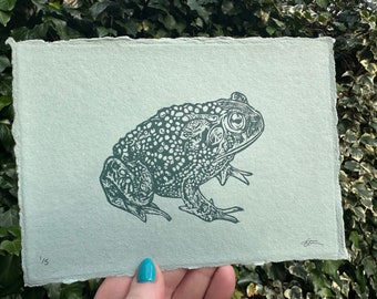 Toad Handmade Linocut Print | Original Art on 5 x 7” Green Cotton Rag Paper