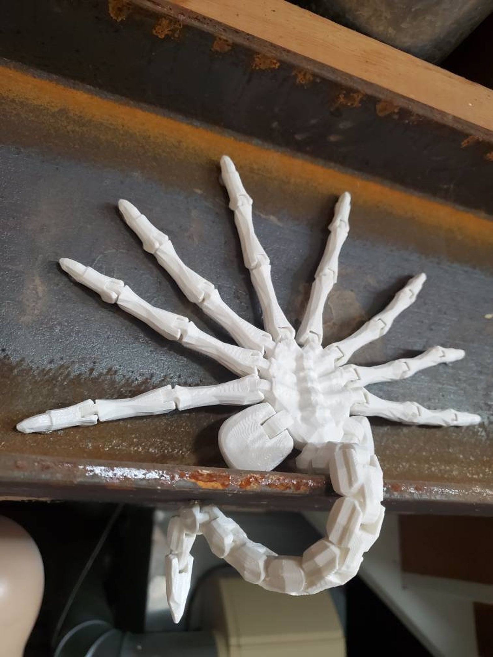 Articulated 3d printed baby facehugger Etsy
