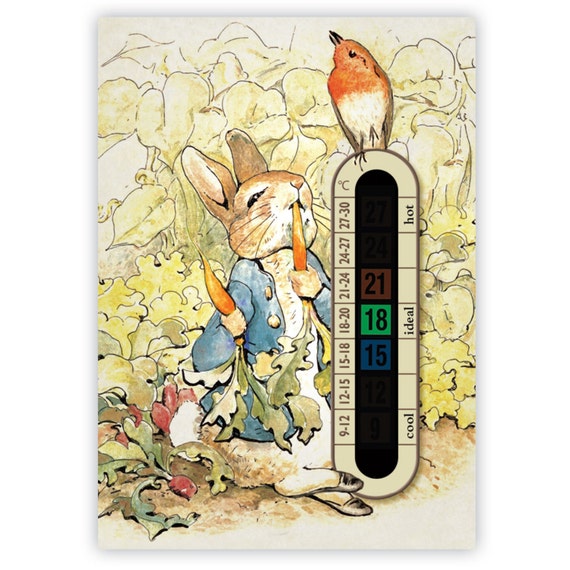 A6 Nursery and Childrens Peter Rabbit Baby Room Thermometers 