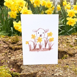 Lamm & Narzissen Karte (105 mm x 148 mm) Niedlich, Schaf, Ostern, Gelb, Illustration, Zeichnung, Frühling, Narzisse, Blumen, Gelb, Landschaft