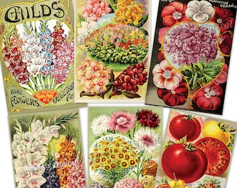 Vintage Childs' 1908 Seed Catalog - Pages Images - Printable - Set of Six - 6 Antique Pictures - Instant Digital Download - Paper Craft