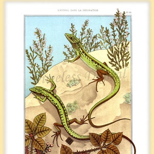 May include: Two green lizards on a rock with brown leaves and thorns. The lizards are facing different directions. The text "L'ANIMAL DANS LA DECORATION" and "LEZZARD" are visible.