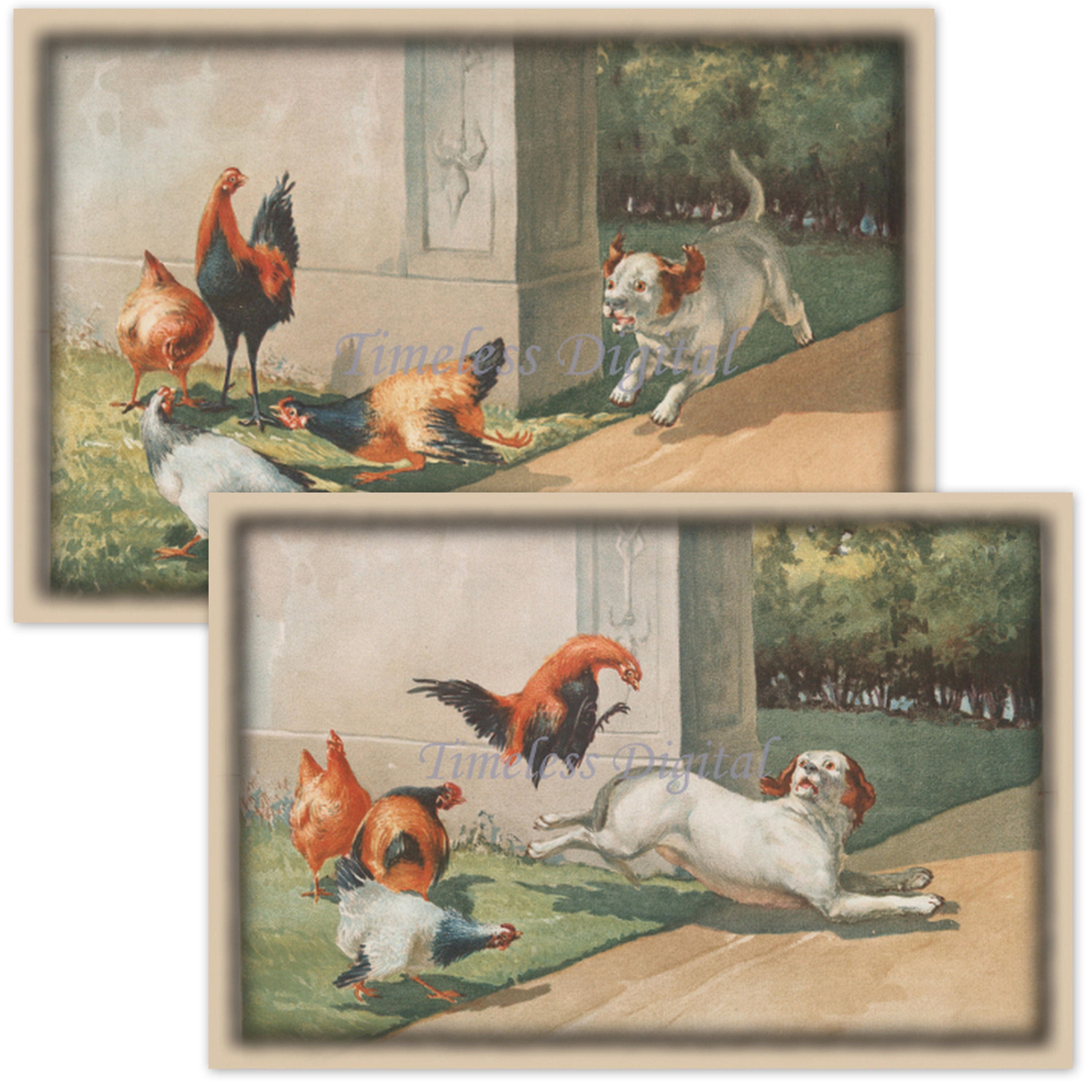 Why Do Dogs Chase Chickens