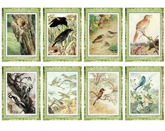 Song Birds - Digital Collage Sheet - Vintage - Printable - 8 Images - 2.5 x 3.5 - Instant JPG - Tags - ACEO - ATC - Cards - Tags - Scrapbook