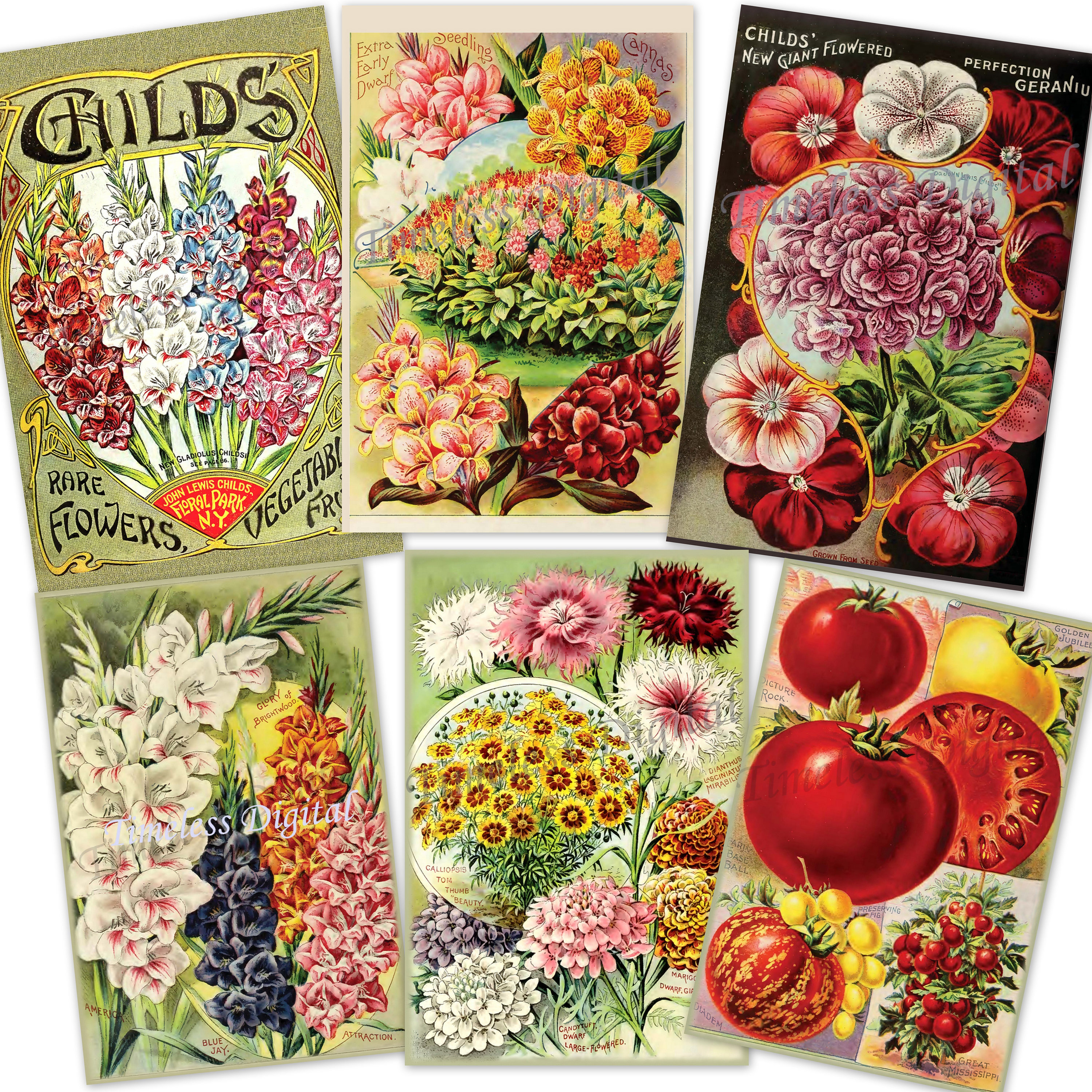 Vintage Childs' 1908 Seed Catalog Pages Images Printable Set of