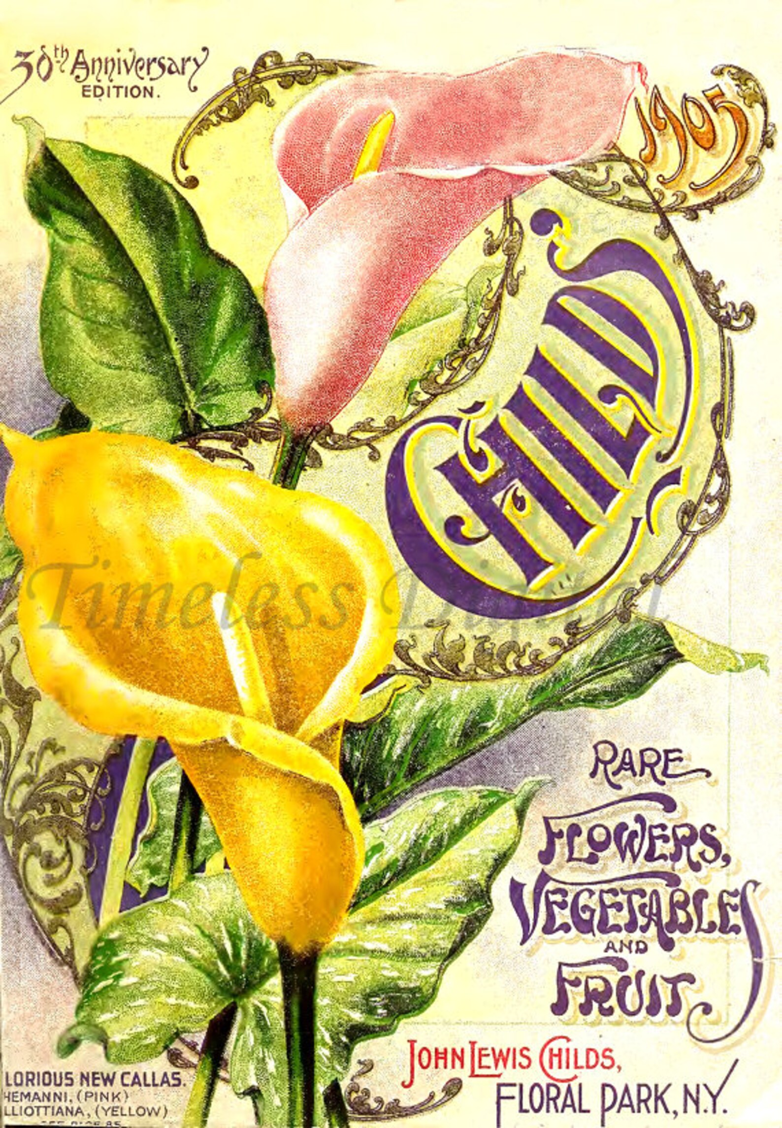 Vintage Childs' 1905 Seed Catalog Pages Images Printable Set of Six 6