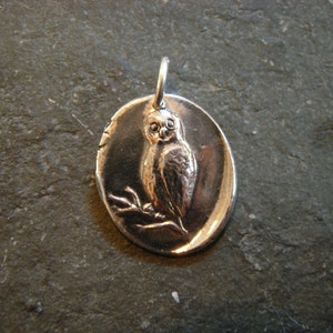 Owl Necklace, owl pendant, owl, bird necklace, wise, nocturnal, intuition, psychic, warning, hoot, birds of prey, barn owls, wax seal