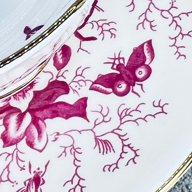 Coalport pink Cairo Bird tea cup and saucer set, Coalport birds and bugs tea set, Garden tea party, Vintage bone china image 4